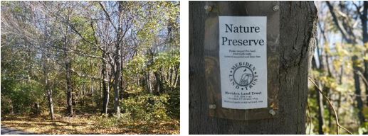 Lydale Drive Group pic