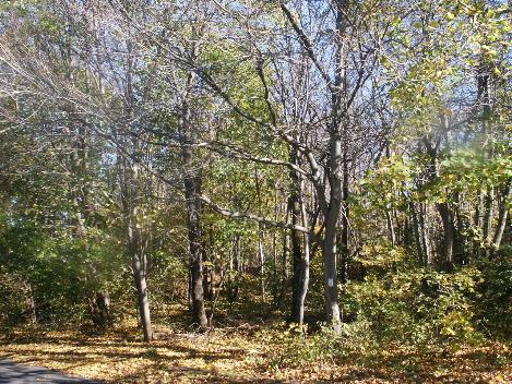 MLT11.9.03Lydalepropertyfullshot-469x352