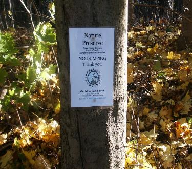 MLT11.9.03PrestonAvenue-375x329